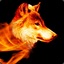 Wolfy363
