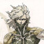 Raiden Metal Gear