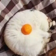 奇洛李维斯回信