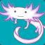 Axolotl Soup