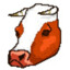 headcow1kg