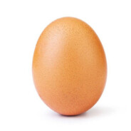 Egg