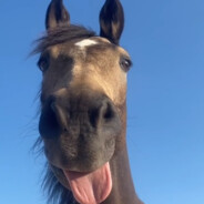 差怡点就在一起了