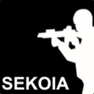 sek - steam id 76561198191524263