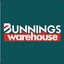 Bunnings Snagz