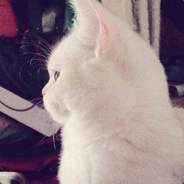 吴阿狗的小老弟