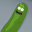 pickle rick