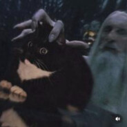 Mikey the Wise Wizard