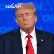 我本无意逐鹿,奈何苍生苦楚