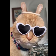 пэздэцэ - steam id 76561198161036148