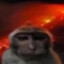 Absolute