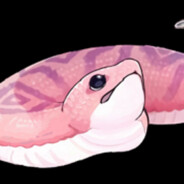 Danger!? Tsuchinoko?