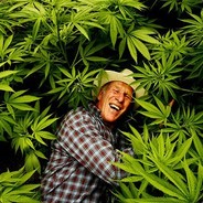 Petani Ganja