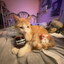 Benji