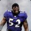 Ray Lewis &lt;3