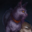 Perils Prevention Feline
