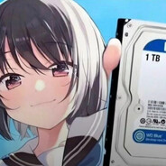 SWAGAноситель