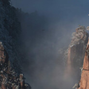 不公平我要重赛