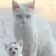 Avatar snapshot