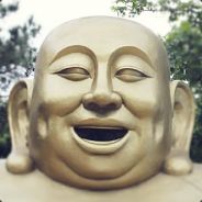 迹部少爷金富贵