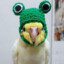 ZaKaT0!<'s avatar