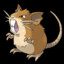 Raticate