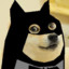 Doge Wayne