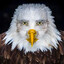 Marvin Beak