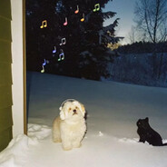 我种了巨大作物卓