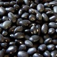 Black Beans