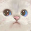 flooffsicle