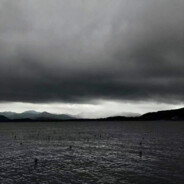 给你一个大逼兜