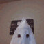 N1D0_Rawdogger