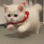 小羊