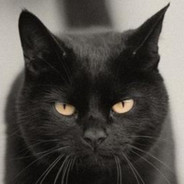 迪士尼在逃王子