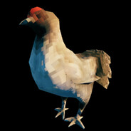 Gallus gallus domesticus