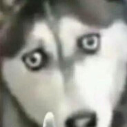 抢马而且反应慢