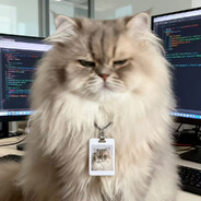 11111111111111111111