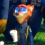 Mr.Fox
