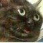 th3 D0ct0r