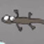 GDNullName07