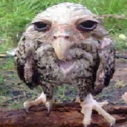 pogromc adziewicskins.army