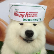 KrispyKreme Dog - steam id 76561197960340969