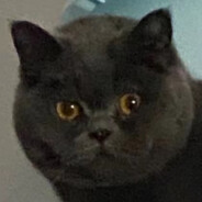 我的队友大聪明