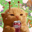 drpepper
