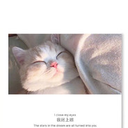 性感可爱的涛涛