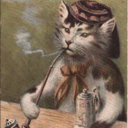 Gato Carioca do Cachimbo