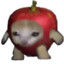AppleCat