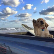 听我说，大电可以分