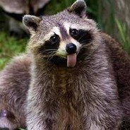 TrashPanda69